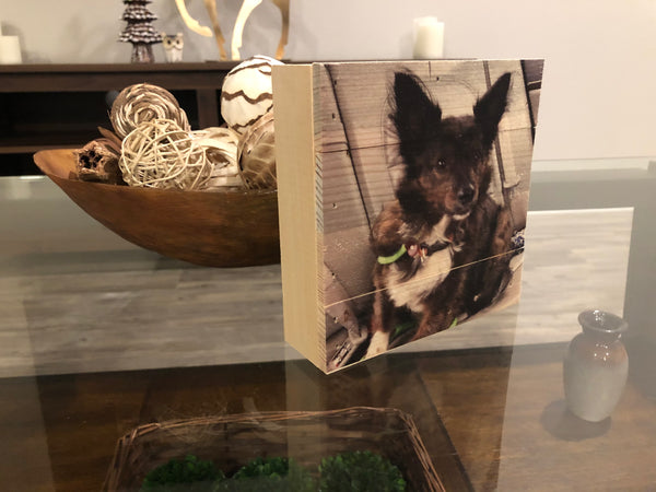 Wood Panel Photo- Pets