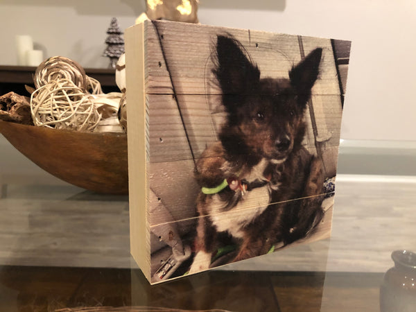 Wood Panel Photo- Pets