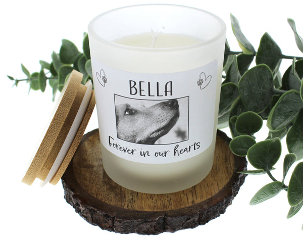 Pet Memorial Candles
