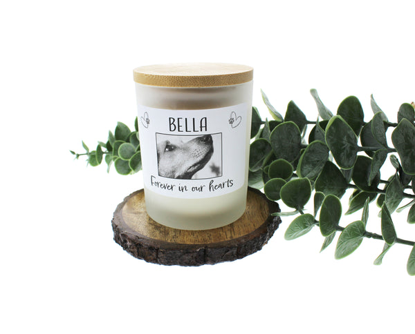 Pet Memorial Candles