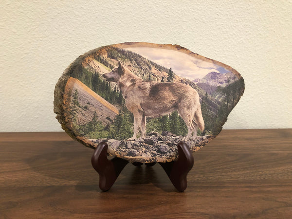 Wood Photo (Pet/Animal)