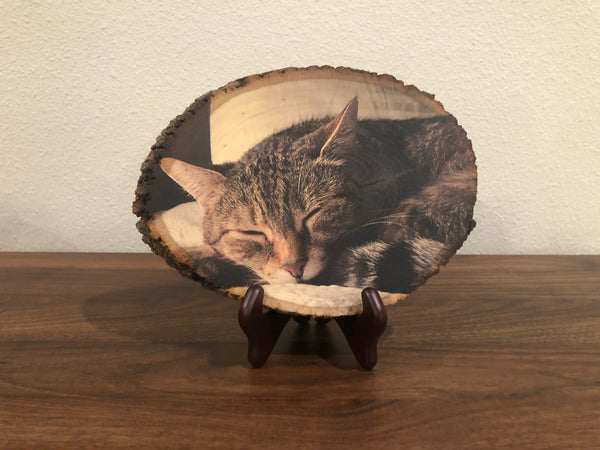 Wood Photo (Pet/Animal)