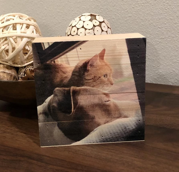 Wood Panel Photo- Pets