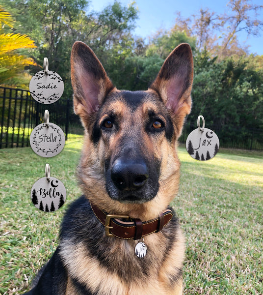 Custom Pet ID Tag