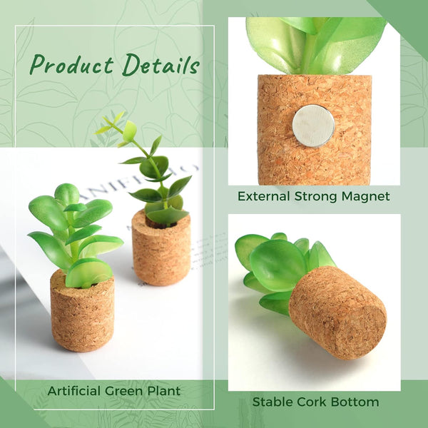 Succulent Plant Magnets