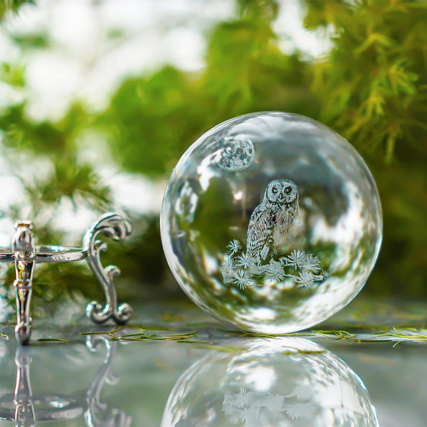 3D Crystal Ball Owl