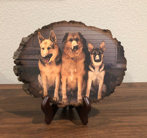 Wood Photo (Pet/Animal)