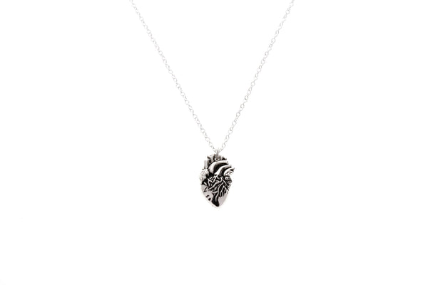 Human anatomical heart necklace, anatomy heart, heart jewelry, gifts for cardiologist, nurse gifts, gifts for doctor, nursing graduation gifts