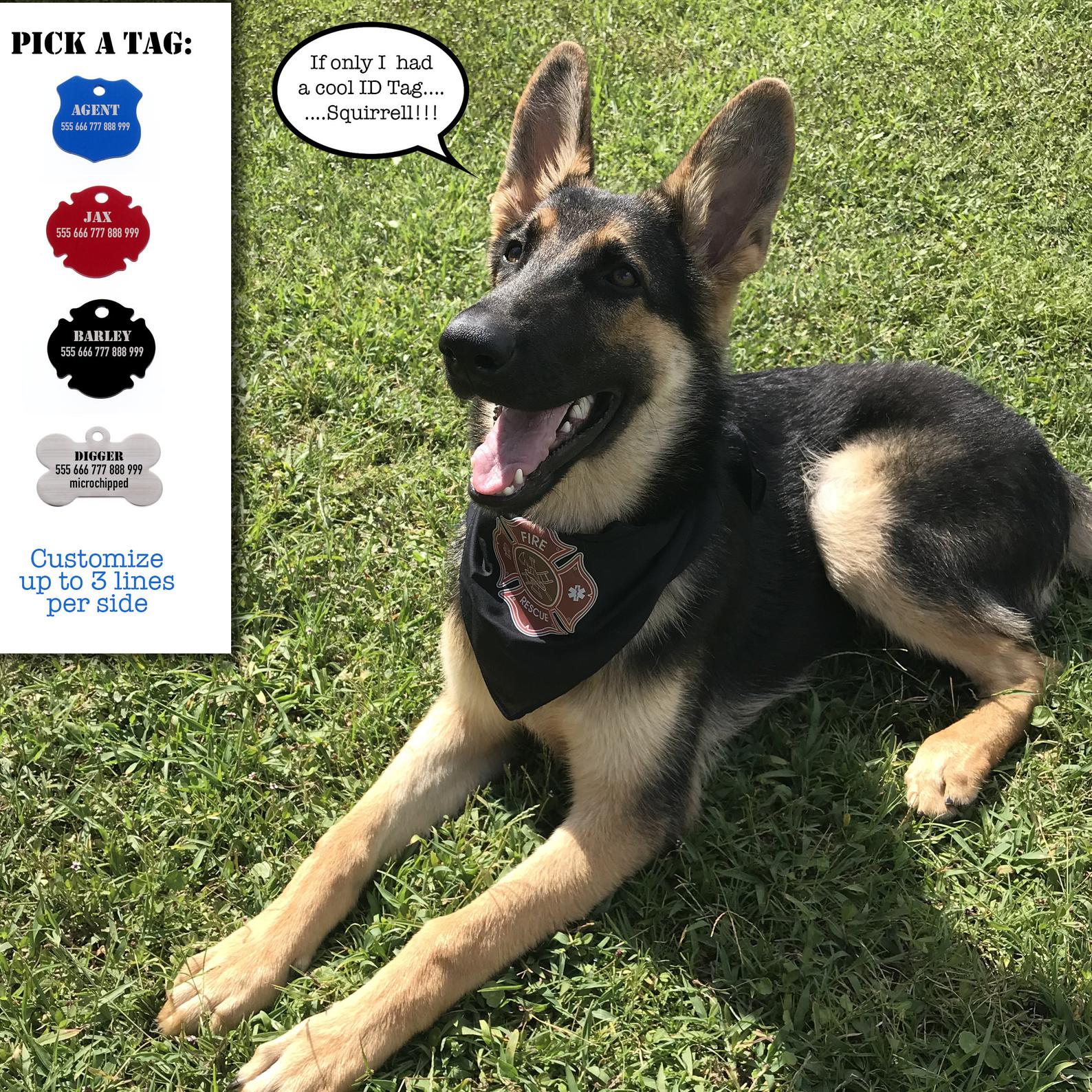 Custom Dog ID Tag