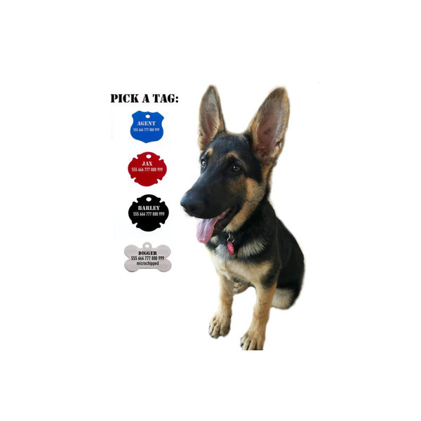 Custom Dog ID Tag